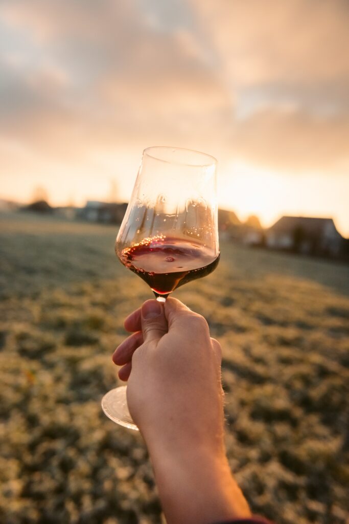 Verre de vin dans une main dans un champ